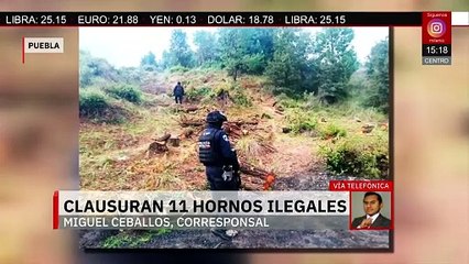 SSP desmantela 11 hornos clandestinos para secar madera de tala ilegal en Canoa, Puebla