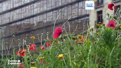 Berlin und Rom wollen mehr Bedenkzeit: EU-Sanktionsplan gegen Israel vorerst auf Eis