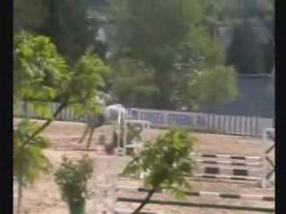 Punch du Mesnil en CSO