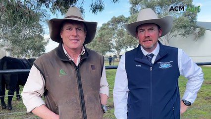 Strong bidding and full clearance at Kenny’s Creek bull sale