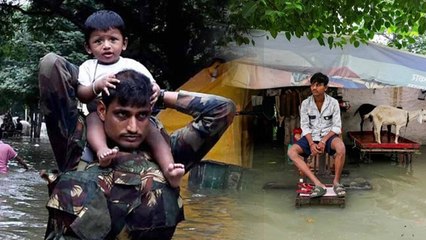 बाढ़ के बाद क्या करना चाहिए,तुरंत बाद क्या करना चाहिए,खत्म होते ही क्या करें | Boldsky