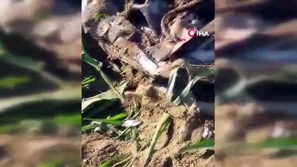 SON DAKİKA...İzmir'de helikopter düştü!