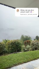 The #unicorn left 🦄 already so what should I turn into real now?! #vfx #cgi #aftereffects #hoursofediting