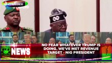 No Fear Whatever Trump Is Doing, We've Met Revenue Target - Nig President