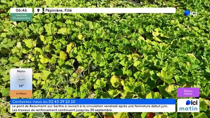 03/09/2025 - ici matin par ici Maine en vidéo