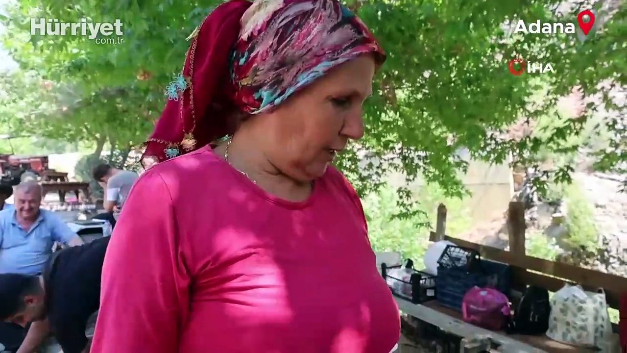 45 yıllık çınarı yazı tahtasına çevirdiler! Ağaç böyle koruma altına alındı