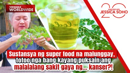 Malunggay, totoo nga bang kayang puksain ang sakit gaya ng kanser?! | Kapuso Mo, Jessica Soho