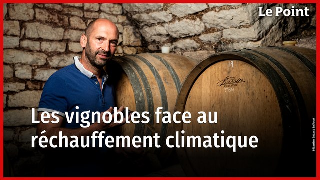 Comment le réchauffement climatique transforme les vignobles ?