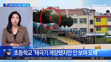 “여기가 중국인가”…서울 초교 ‘오성홍기’ 논란