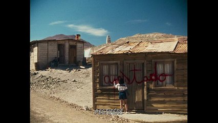 La misteriosa mirada del flamenco - Le Mystérieux Regard du flamant rose -Clip 2