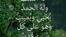 لا إلَهَ إلَّا اللَّهُ وحدَهُ لا شَريكَ لَهُ ، لَهُ الملكُ ، ولَهُ الحمدُ ، يُحْيي ويُميتُ ، وَهوَ علَى كلِّ شيءٍ قديرٌ
