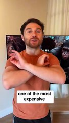 The Truth About Bored Ape Yacht Club #shorts