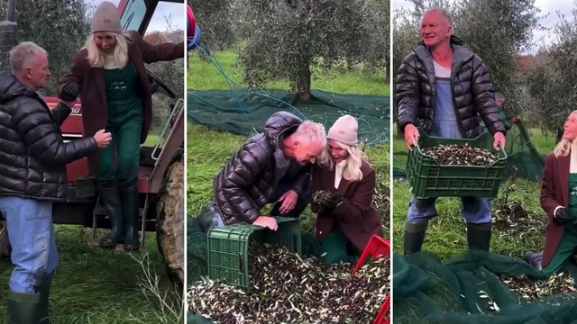 Sting e Trudie Styler, agricoltori glamour tra gli ulivi. E il loro olio viene premiato