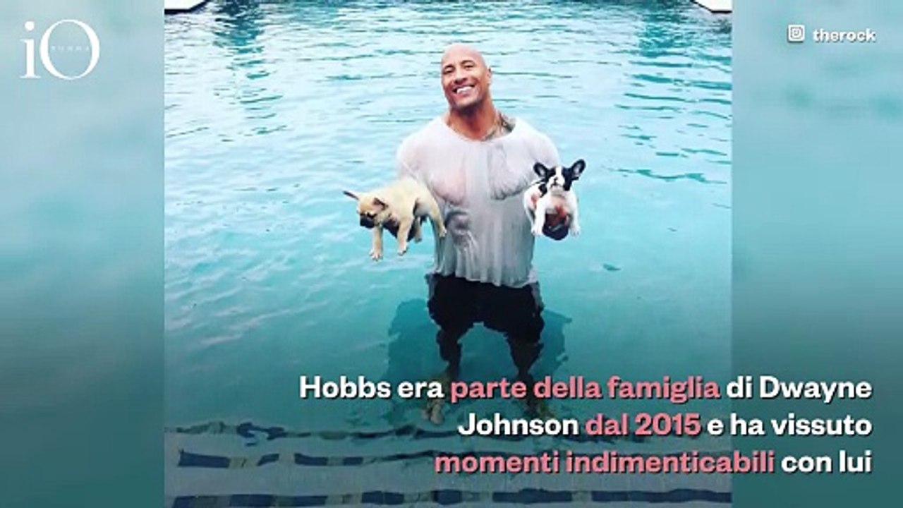 Dwayne Johnson in lutto per il cane Hobbs: «Devastato, ma grato per il suo amore»