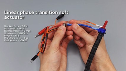 Investigadores de Coimbra criam músculos artificiais para robôs