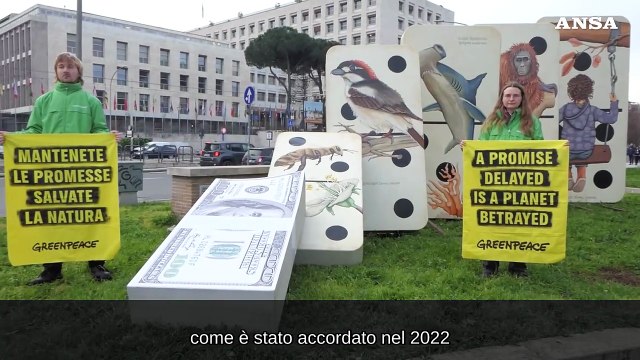Al via Cop16 sulla biodiversità: di fronte alla FAO, l'installazione di Greenpeace