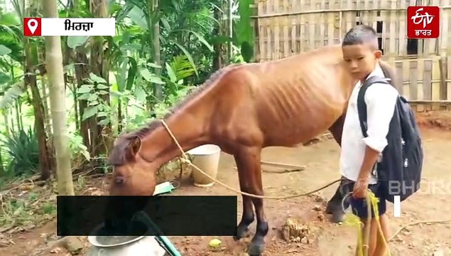 ਤੀਜੀ ਜਮਾਤ ਦਾ ਵਿਦਿਆਰਥੀ ਹਰ ਰੋਜ਼ ਘੋੜੇ 'ਤੇ ਜਾਂਦਾ ਹੈ ਸਕੂਲ, ਕਾਰਨ ਜਾਣ ਕੇ ਤੁਸੀਂ ਰਹਿ ਜਾਓਗੇ ਹੈਰਾਨ