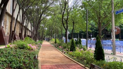 [서울] 서울시, 공해 완충 녹지 12곳 재생...먼지·소음 흡수 / YTN