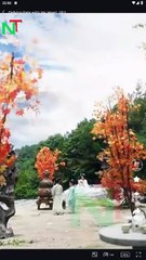 Defying Fate With My Heart