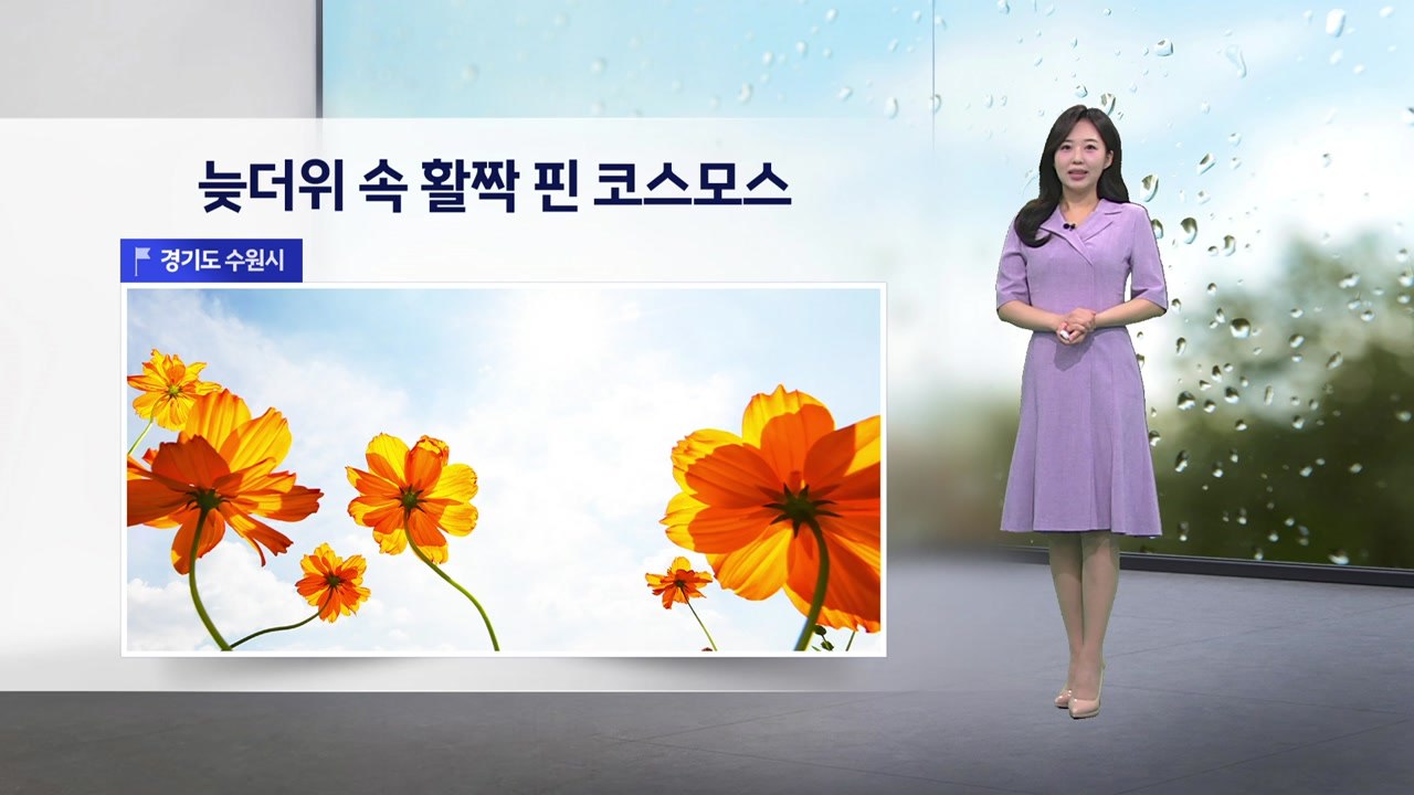 [이슈날씨] 내일 곳곳 가을비..서울 28도, 대전 30도 / YTN