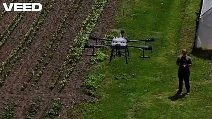 The Future of Peanut Farming | Expertise & Innovation by John Sedgwick St. Louis