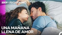 Las Mañanas más Bonitas Empiezan Contigo... - Amor Lógica Venganza