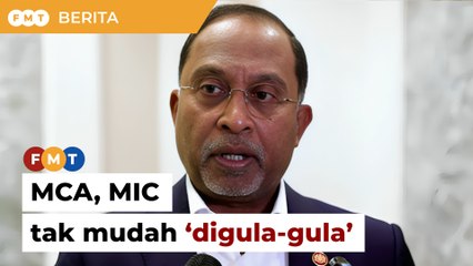 MCA, MIC parti lama tak mudah ‘digula-gulakan’ PAS, kata Zambry