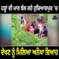 ਹੜ੍ਹਾਂ ਦੀ ਮਾਰ ਝੱਲ ਰਹੇ ਹੁਸ਼ਿਆਰਪੁਰ 'ਚ ਦੇਖਣ ਨੂੰ ਮਿਲਿਆ ਅਨੌਖਾ ਵਿਆਹ