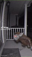 THIS IS WHAT HAPPENS TO LABUBU AT 3AM (GONE WRONG)