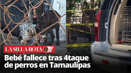 Bebé de 11 meses pierde la vida tras 4taque de perros en Tamaulipas