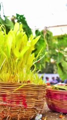 Karam Karam Kahale Ge Aayo | Nagpuri Song Short 2025 | Trending Karam Geet | #KaramGeet #JharkhandSong #NagpuriVideo