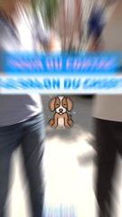 Pour ✅ ou contre ❌ le salon du chiot ? 🐕J'en ai entendu parler à la radio toute la semaine, et pourtant dans la rue tout le monde s'en foutait... Peut être que tu as un avis sur la question toi ? 🎤