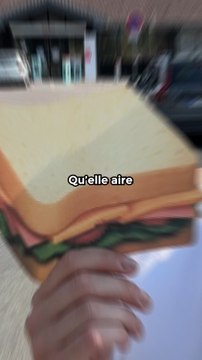 Quelle aire d’autoroute fait les meilleurs sandwiches ? 🥪🚗