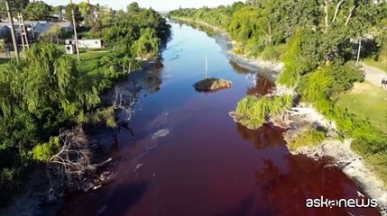 Inquinamento: a Buenos Aires un fiume si colora di rosso, allarmati i residenti