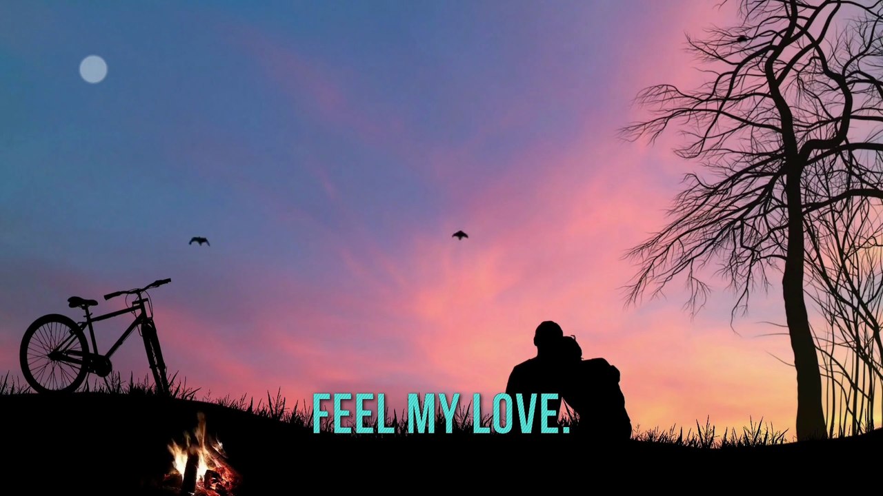 Feel My Love