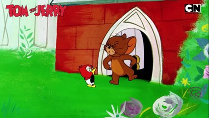 Tom and Jerry 😺🐭| The Duo of Destruction! 🔥| Compilation | Cat and Mouse Cartoon | ‪@cnindia‬