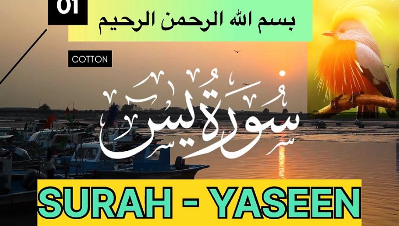 👍👍“Surah Yaseen Recitation | Most Beautiful Tilawat e Quran | سورة یٰسٓن کی تلاوت”👍👍