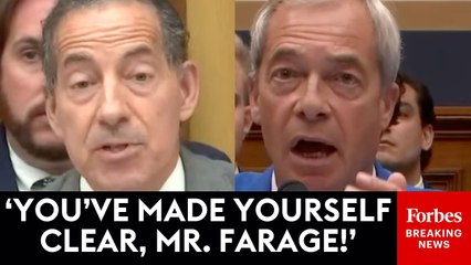 Jamie Raskin And Nigel Farage Have Rough Clash Over Free Speech