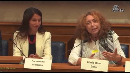 Global Sumud Flotilla parte il 7 dall'Italia: "Governo ci tuteli"