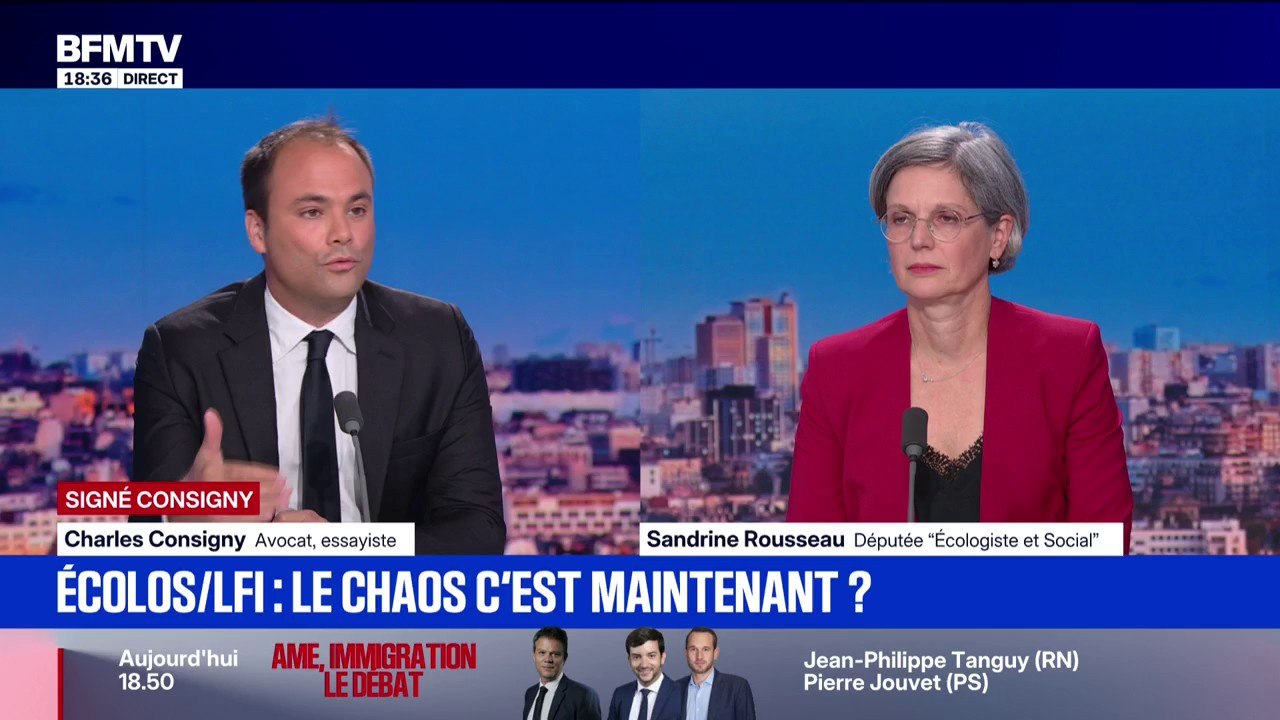 Crise politique: "Travailler plus pour gagner plus n'est plus le moteur de la société", estime Sandrine Rousseau, député "Écologiste et Social"