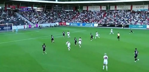 Discover the Unique Beauty of Bougainvillea 🌸