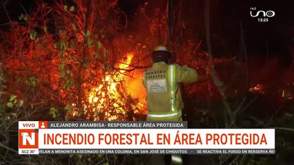 Incendio forestal en área protegida