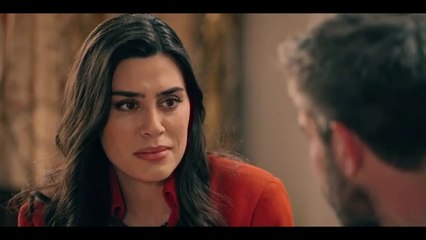 Capítulo 392  Capítulo 392