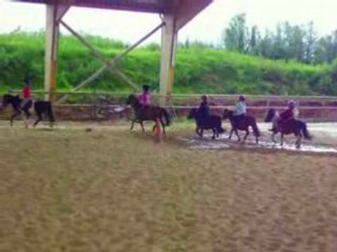 simulation de chutes de poneys