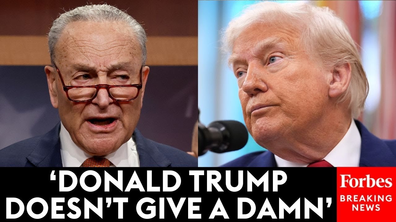 Chuck Schumer Unleashes On Donald Trump In Senate Democratic Briefing