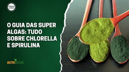 O guia das super algas: tudo sobre chlorella e spirulina | Nutridicas #73