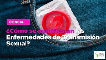 ¿Cómo se manifiestan las Enfermedades de Transmisión Sexual?