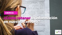 ¿Cómo retener la información en nuestro cerebro?