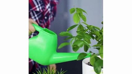 13 THINGS YOU CAN USE NOT ONLY FOR WHAT THEY WERE MENT FOR