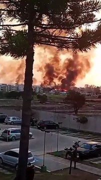 Vídeo mostra incêndio de grandes proporções em área de vegetação em São José dos Pinhais